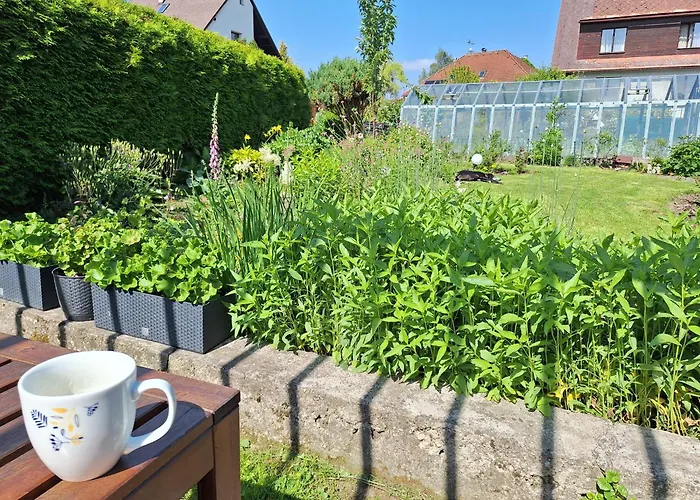 Apartman Donska