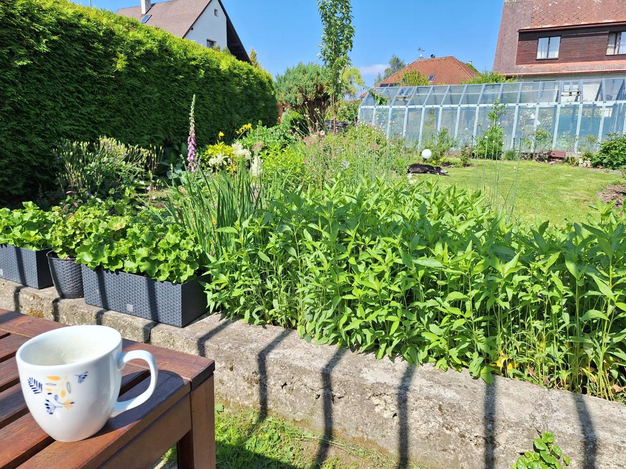 Apartment Donska